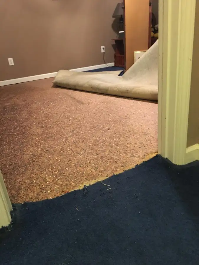 Carpet pad removal revealing water damage during Drying & Dehumidification in Shirley
