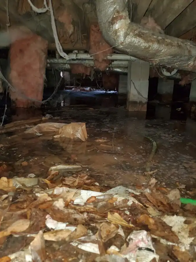 Crawl space flood assessment for Leak Detection & Repair in Shirley